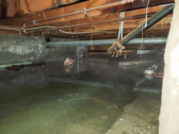 Trusted Quartz Hill, CA Water damage restoration Experts