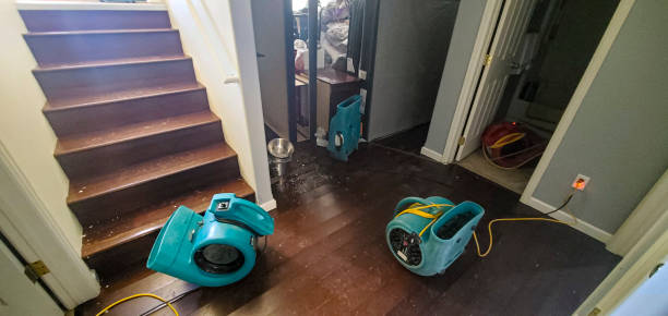  Quartz Hill, CA Water damage restoration Pros