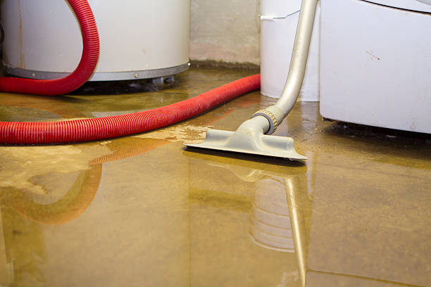 Best Water damage restoration mold remediation  in Quartz Hill, CA